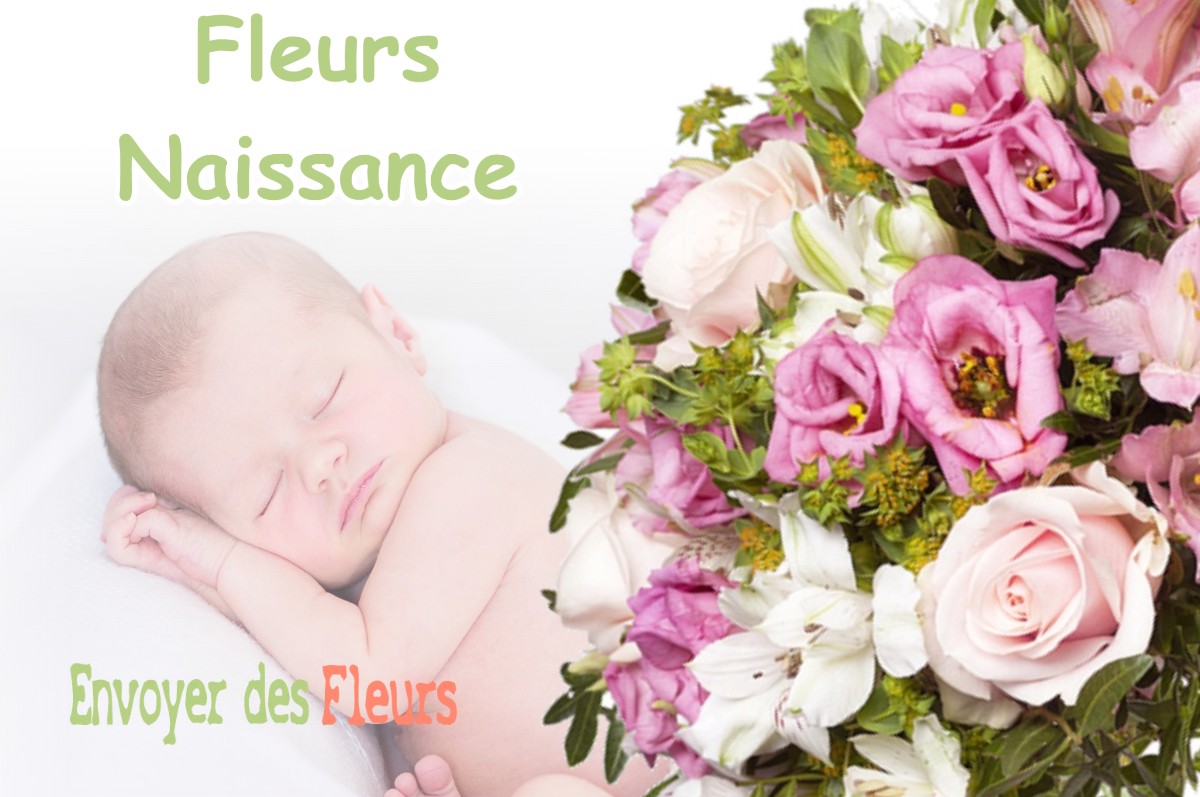 lIVRAISON FLEURS NAISSANCE à LA-ROQUE-D-ANTHERON